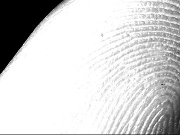 Morning Scan: Apple may add fingerprint ID to Passbook, Expedia hires ad stars