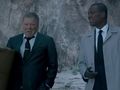 Well that was completely predictable - William Shatner returns for Priceline TV ads [VIDEO]