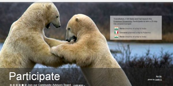 Travellution pulls in funding, plots site revamp for Christmas