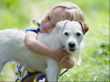 Doggone it! DogVacay, which helps pet owners find nice sitters, digs up $6 million in funding
