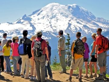 Another leap forward in tours and activities as Gray Line reveals live availability push