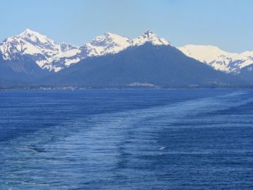 Cruise lines sailing away from Twitter