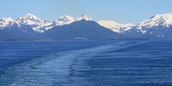 Cruise lines sailing away from Twitter