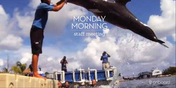 Onboard, owned by LVMH, aims to make online travel chic, at least for cruises