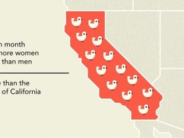 Battle of the sexes played out in social media