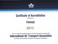 Exposed: How online fraudsters dive deep into IATA processes to secure payments