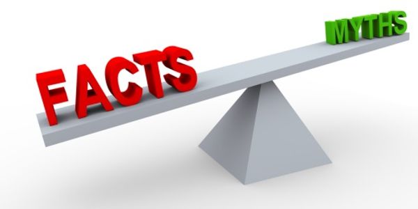 SEO: An inconvenient truth