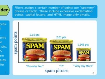 Everything a travel company needs to know about email marketing