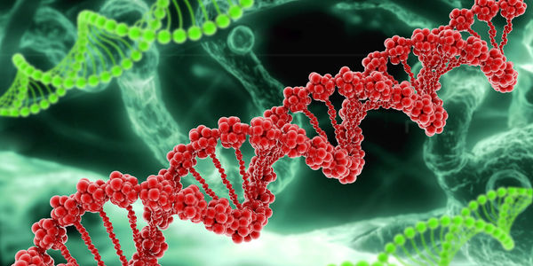 Know ye genotype: How to predict future behavior from past social media use