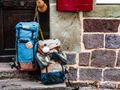 Hostels come in from the dark ages - online check-in has arrived
