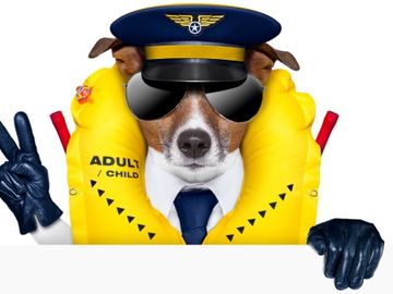 Air Canada bashed in social media for email mocking US media after missing dog saga