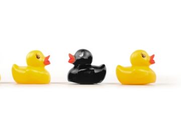 Turning the ugly duckling of the travel industry into a beautiful swan