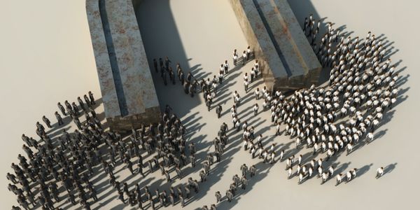 Customer acquisition, the cockroaches and the ants