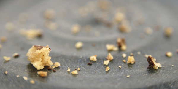 Bye bye cookie: Expedia releases new innovations geared toward a post-Web future