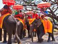 Tours and activities comes of age - but challenges may take an age to fix