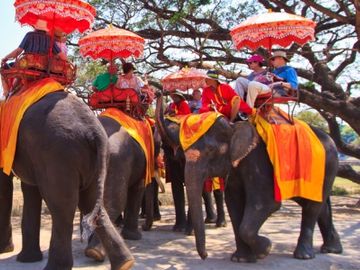 Tours and activities comes of age - but challenges may take an age to fix