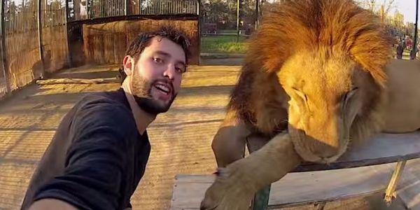 Are travel brands taking advantage of the selfie phenomenon?