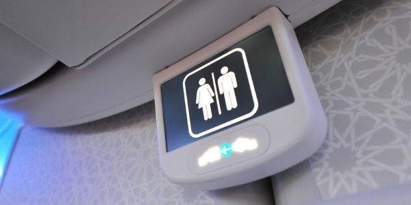 Why budget airlines SHOULD charge you to use the bathroom