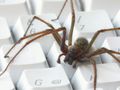 Crawling is the new API - a legal and technical rough guide for the travel industry