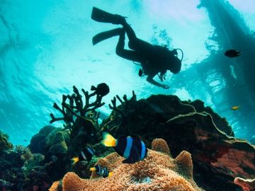 The tours and activities sector will be carved up