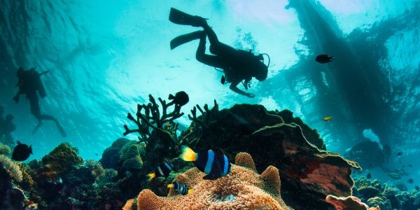 The tours and activities sector will be carved up