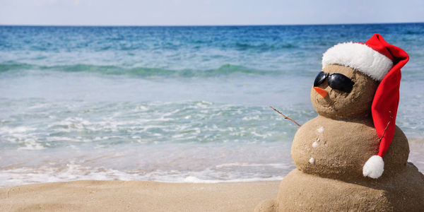 More Americans set to travel during holidays than in year past