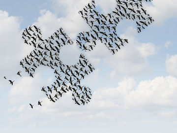 What are your travel management priorities in 2015?