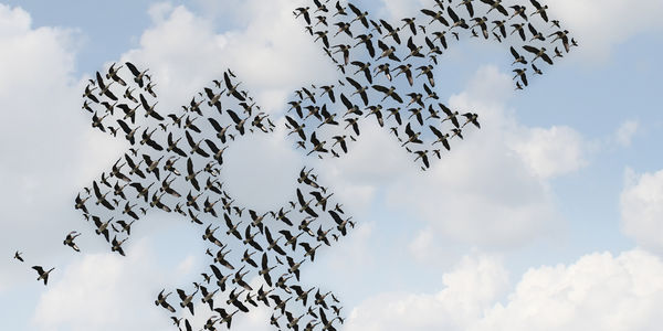 What are your travel management priorities in 2015?