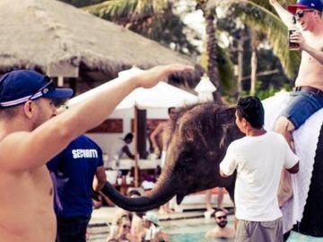 Thailand attraction ignites social media storm with elephant picture on Facebook