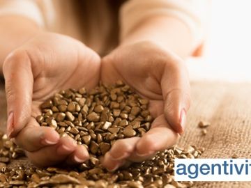How data can help uncover the hidden treasure in travel agencies