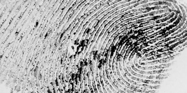 Startup pitch: GTRIIP brings biometrics to hotel check-in [UPDATED]