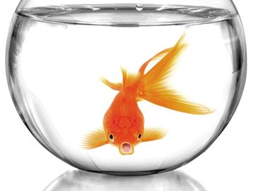 An Expedia take on tackling the attention span of a goldfish