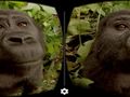 Going on safari? There's now virtual reality for that