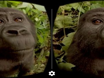 Going on safari? There's now virtual reality for that