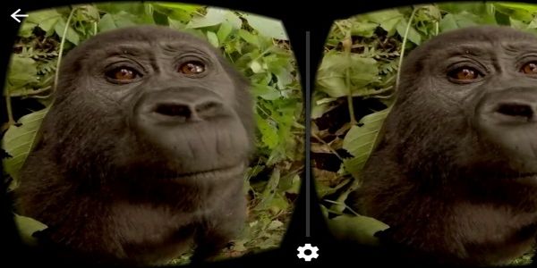 Going on safari? There's now virtual reality for that