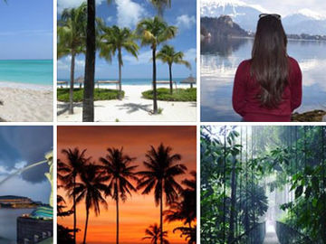 TripAdvisor's new CFO says quality hotel content is key to instant booking conversion