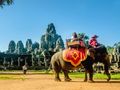 TripAdvisor scraps bookings for hundreds of attractions featuring animals