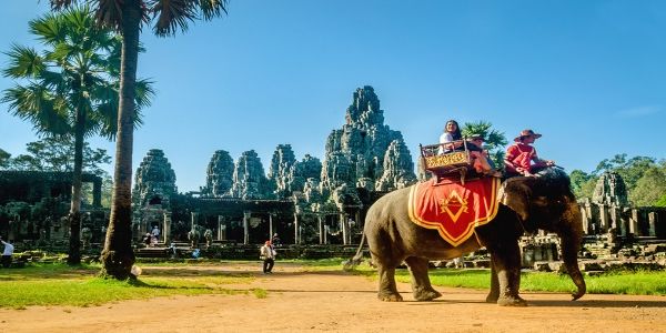 City Discovery takes animal welfare stance, demands big players must follow