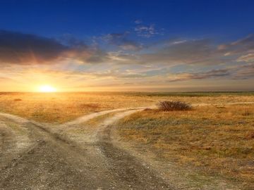 Reflections on a pivot: when a travel startup goes from B2C to B2B