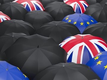 Youth travel sector "very pessimistic" post-Brexit