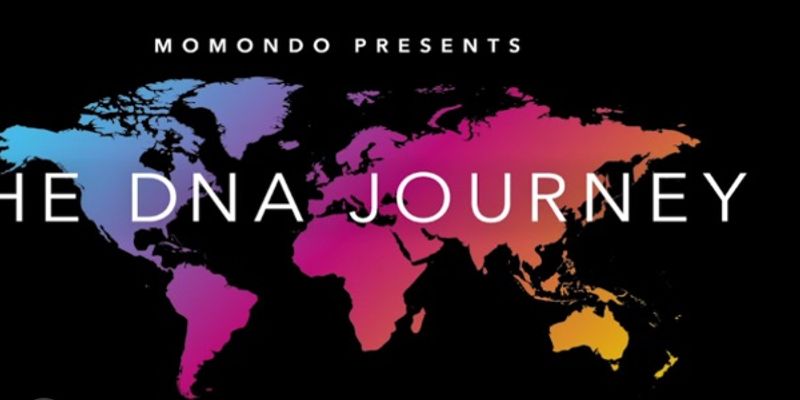 momondo dna journey full video