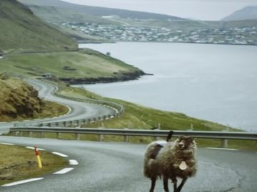 A bizarre tale of tourism, sheep and Google Street View