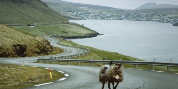 A bizarre tale of tourism, sheep and Google Street View