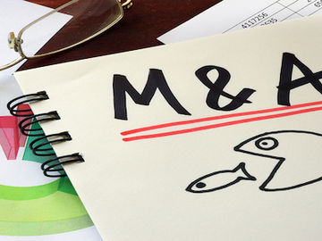 Some notes on what the MakeMyTrip merger with Ibibo means