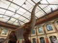 Google brings tourist attraction to life with virtual reality dinosaurs