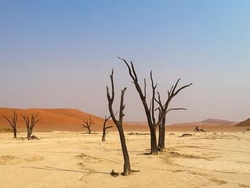 Overcoming analysis paralysis in travel startups