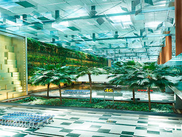 Changi Airport investing $50 million in incubator programme