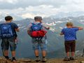 The ins and outs of search for family trips