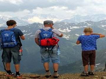 The ins and outs of search for family trips