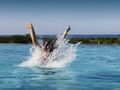 Web hotel reviews overwhelmingly from those sharing the love